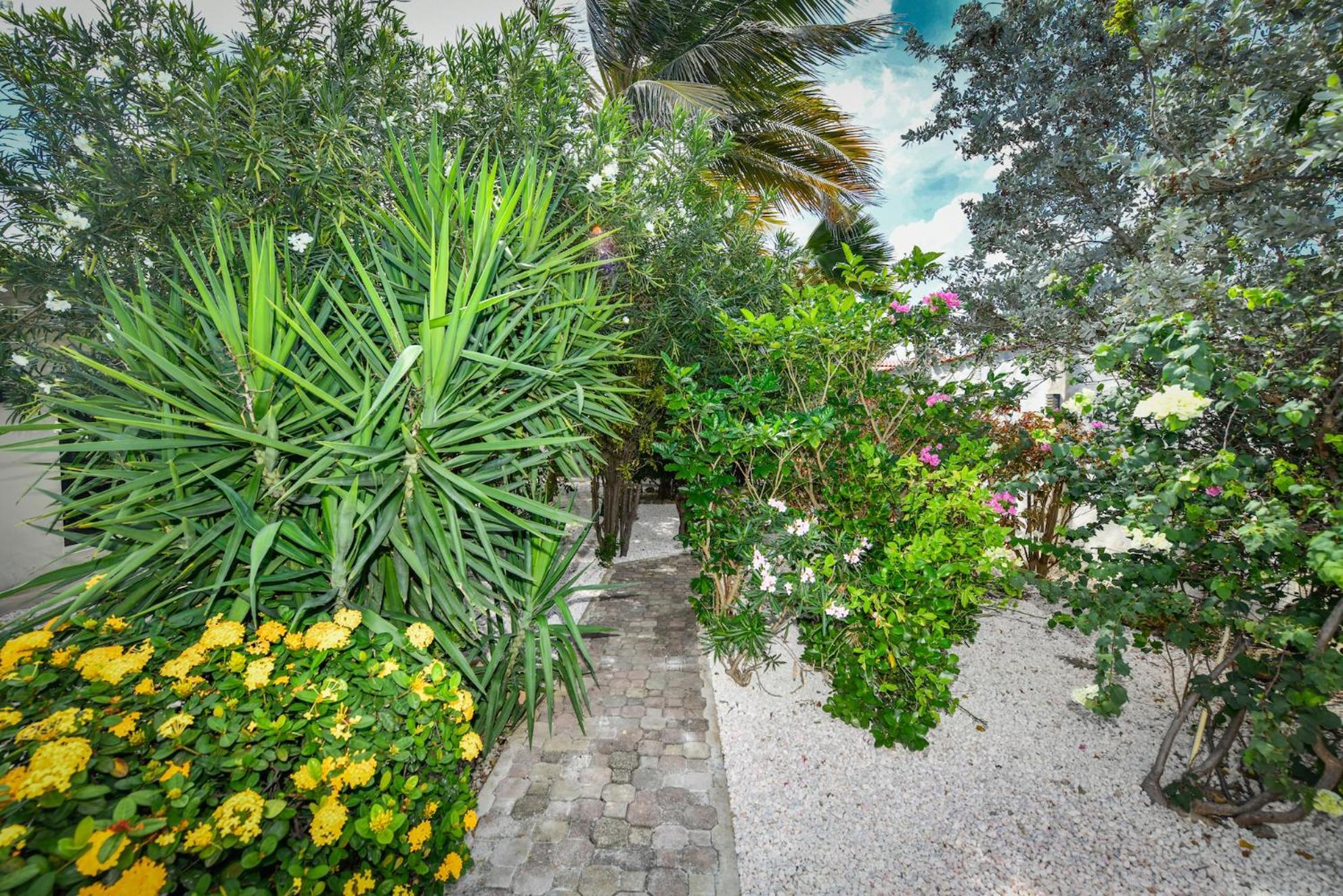 Aloe B&B Oranjestad Buitenkant foto