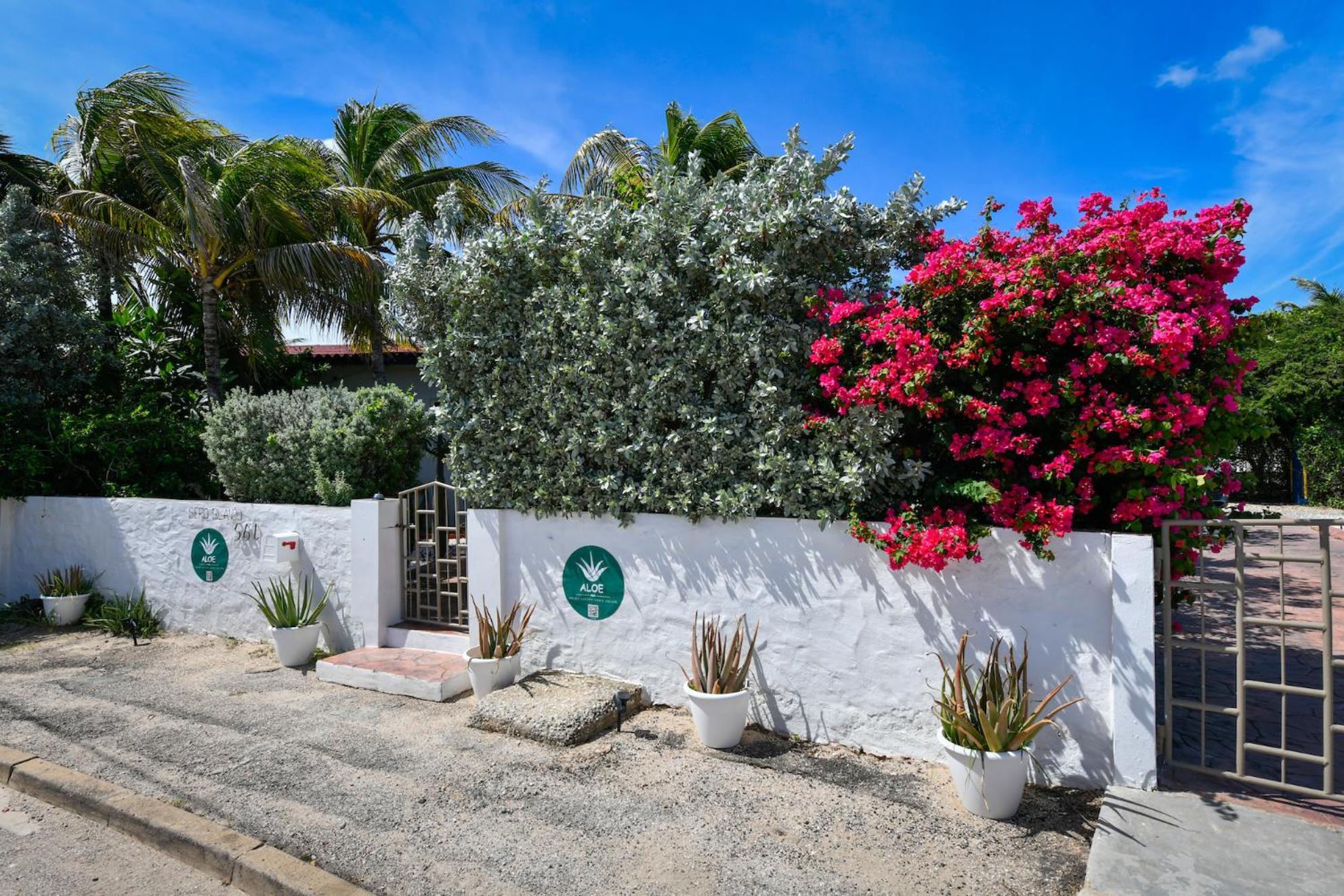 Aloe B&B Oranjestad Buitenkant foto